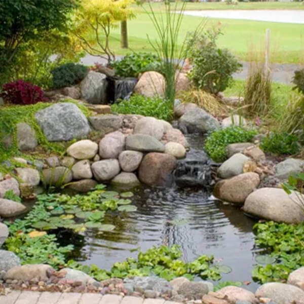 Aquascape Pond Kit Small
